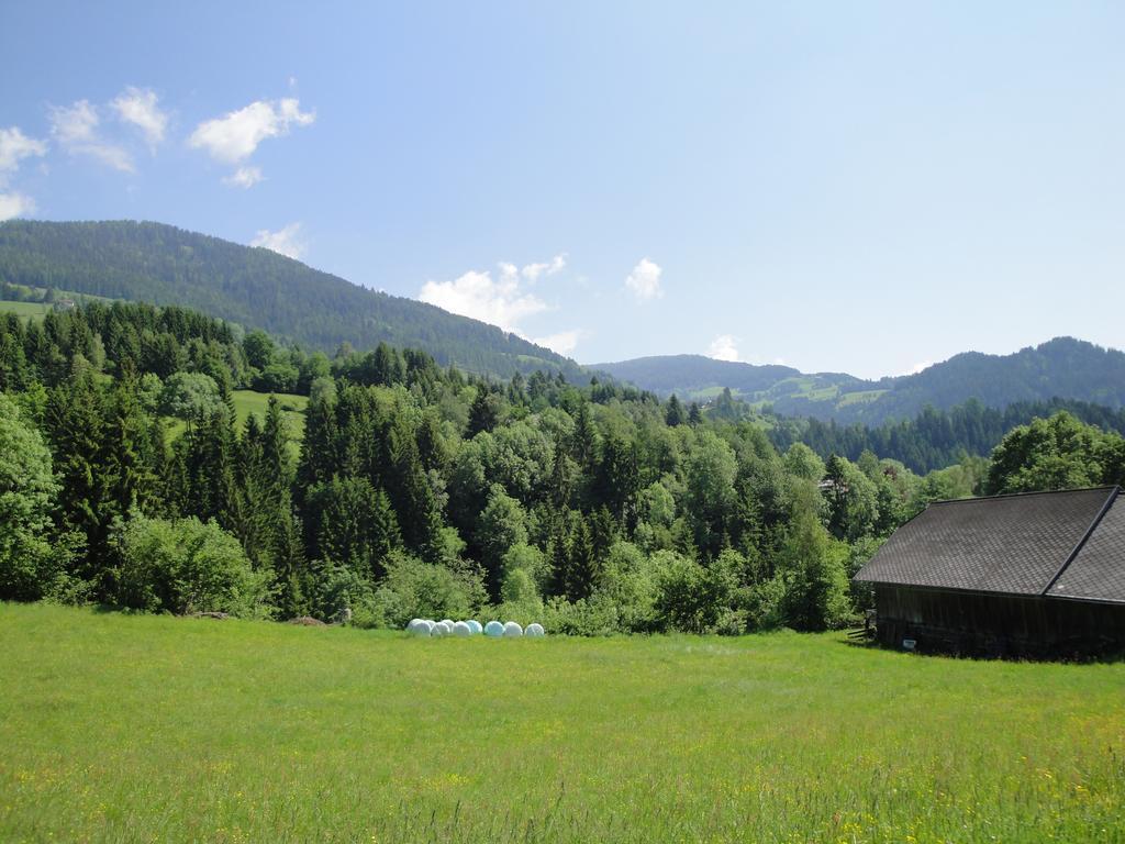 Naturoase Appartements Mirnock Африц Экстерьер фото